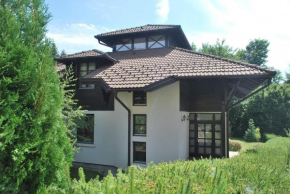 Zlatibor Villa